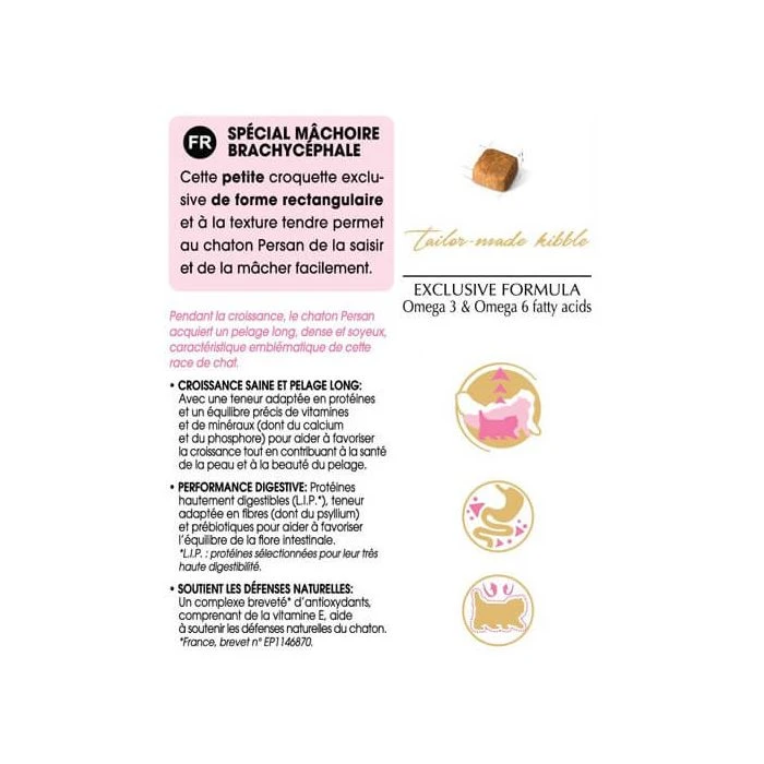 Royal Canin Persian Kitten 2 Kg 6 Royal Canin Persian Kitten 2 Kg - immagine 4