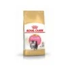 Royal Canin Persian Kitten 10 Kg 1 Royal Canin Persian Kitten 10 Kg -Forniture Per Gatti pers kit pack 2