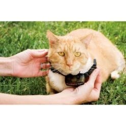 Pet Safe Collare Ricevitore Cat Fence -Forniture Per Gatti pet safe collier re cepteur chat cat fence3