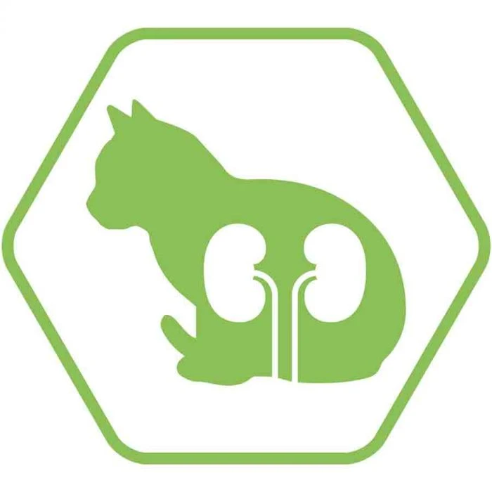 Purina Proplan Optirenal Adult Cat Sterilised Salmone 10 Kg 5 Purina Proplan Optirenal Adult Cat Sterilised Salmone 10 Kg - immagine 3