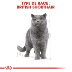 Royal Canin British Shorthair Per Gatto Adulto 4 Kg 12 Royal Canin British Shorthair Per Gatto Adulto 4 Kg -Forniture Per Gatti royal canin british shorthair adult 4 kg 2