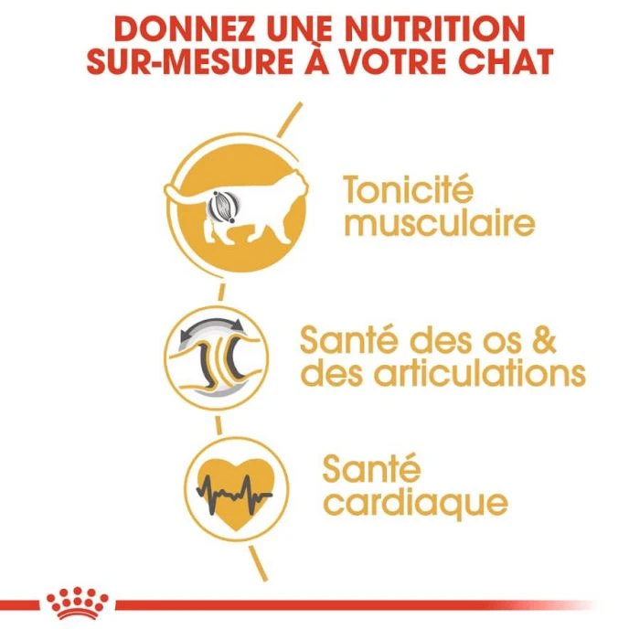 Royal Canin British Shorthair Per Gatto Adulto 4 Kg 7 Royal Canin British Shorthair Per Gatto Adulto 4 Kg - immagine 5