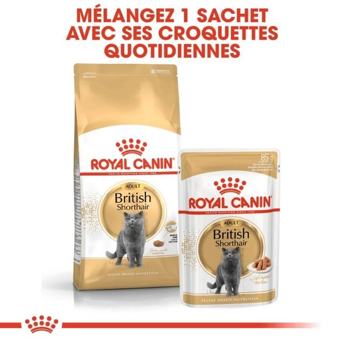 Royal Canin British Shorthair Per Gatto Adulto 4 Kg 8 Royal Canin British Shorthair Per Gatto Adulto 4 Kg - immagine 6