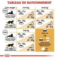Royal Canin British Shorthair Per Gatto Adulto 4 Kg 16 Royal Canin British Shorthair Per Gatto Adulto 4 Kg -Forniture Per Gatti royal canin british shorthair adult 4 kg 6