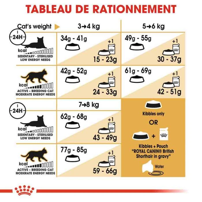 Royal Canin British Shorthair Per Gatto Adulto 4 Kg 9 Royal Canin British Shorthair Per Gatto Adulto 4 Kg - immagine 7