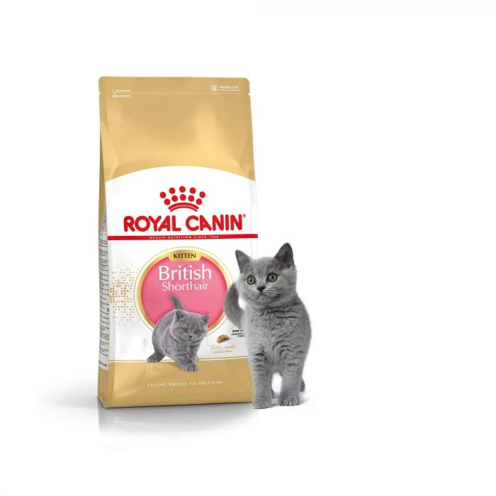Royal Canin British Shorthair Kitten 2 Kg 4 Royal Canin British Shorthair Kitten 2 Kg - immagine 2