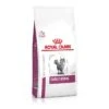 Royal Canin Vet Cat Early Renal 6 Kg
