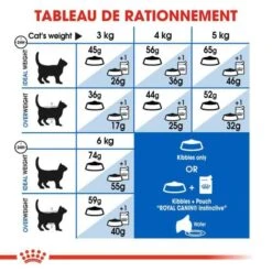Royal Canin Feline Health Nutrition Indoor 27 - 2 Kg 16 Royal Canin Feline Health Nutrition Indoor 27 - 2 Kg -Forniture Per Gatti royal canin feline health nutrition indoor 27 2 kg 5