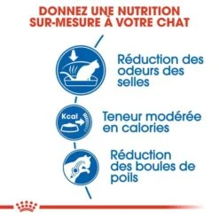 Royal Canin Feline Health Nutrition Indoor 27 - 4 Kg -Forniture Per Gatti royal canin feline health nutrition indoor 27 4 kg 3