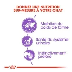 Royal Canin Feline Health Nutrition Sterilised Mousse 12 X 85 G 7 Royal Canin Feline Health Nutrition Sterilised Mousse 12 X 85 G -Forniture Per Gatti royal canin feline health nutrition sterilised mousse 12 x 85 g3