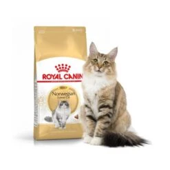 Royal Canin Norwegian Forest Cat Adult 2 Kg -Forniture Per Gatti royal canin norv ad