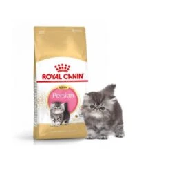 Royal Canin Persian Kitten 10 Kg 9 Royal Canin Persian Kitten 10 Kg -Forniture Per Gatti royal canin pers kit 2