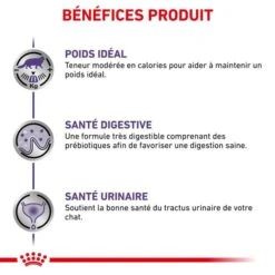 Royal Canin Vet Chat Neutered Balance 12 X 85 G -Forniture Per Gatti royal canin vet chat neutered balance 12 x 85 g 3
