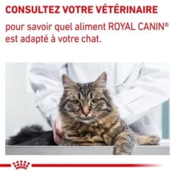 Royal Canin Vet Chat Neutered Balance 12 X 85 G -Forniture Per Gatti royal canin vet chat neutered balance 12 x 85 g 8