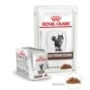 Royal Canin Vet Cat Gastrointestinal Bustine 12 X 85 G 1 Royal Canin Vet Cat Gastrointestinal Bustine 12 X 85 G -Forniture Per Gatti royal canin veterinary cat gastrointestinal sachet 12 x 85 grs 1