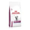 Royal Canin Vet Cat Renal Special 4 Kg 1 Royal Canin Vet Cat Renal Special 4 Kg -Forniture Per Gatti royal canin veterinary cat renal special 2
