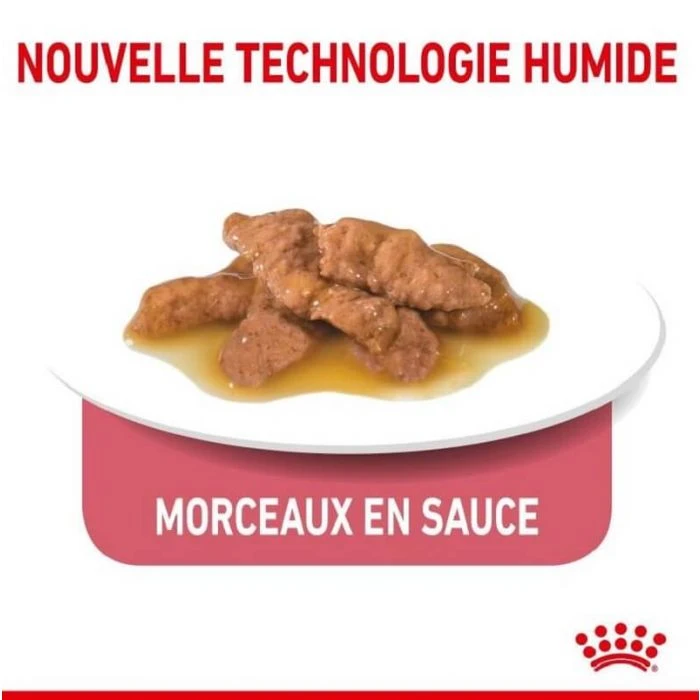 Royal Canin Feline Health Nutrition Indoor 7+ In Salsa 12 X 85 G 4 Royal Canin Feline Health Nutrition Indoor 7+ In Salsa 12 X 85 G - immagine 2