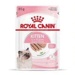 Forniture Per Gatti -Forniture Per Gatti royal canin kitten sachet en mousse 11