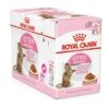 Royal Canin Kitten Sterilised Bustine 12 X 85 G 1 Royal Canin Kitten Sterilised Bustine 12 X 85 G -Forniture Per Gatti royal canin kitten sterilised 12 x 85 grs la compagnie des animaux