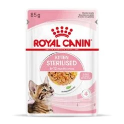 Royal Canin Kitten Sterilised Bustina In Gelatina 12 X 85 G -Forniture Per Gatti royal canin kitten sterilised sachet en gel e 6