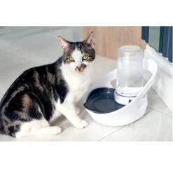 Sure Petcare Felaqua Connect Dispenser Acqua Gatto -Forniture Per Gatti sure petcare felaqua connect distributeur d eau chat 3