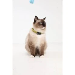 Tickless Mini Cat Nero Ricaricabile 7 Tickless Mini Cat Nero Ricaricabile -Forniture Per Gatti tickless mini cat noir3