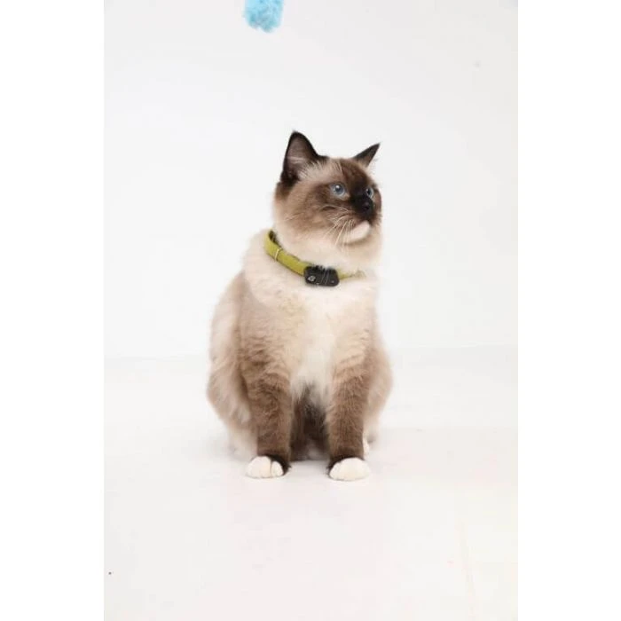 Tickless Mini Cat Nero Ricaricabile 5 Tickless Mini Cat Nero Ricaricabile - immagine 3