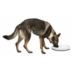 Trixie Distributore Automatico TX4+1 10 Trixie Distributore Automatico TX4+1 -Forniture Per Gatti trixie distributeur automatique tx5 la compagnie des animaux 4